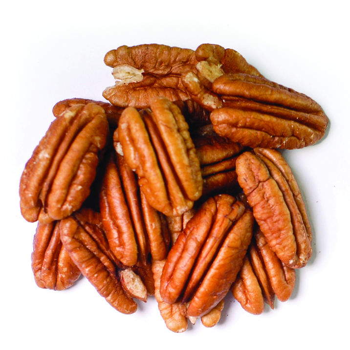 Pecan Mammoth